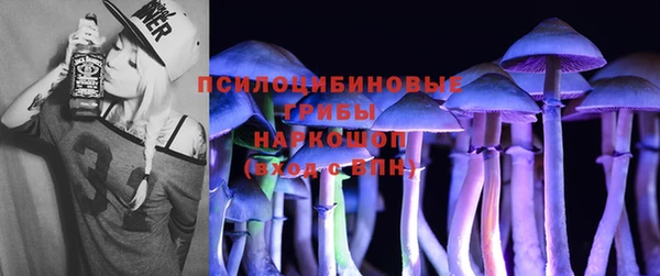 гидра Баксан