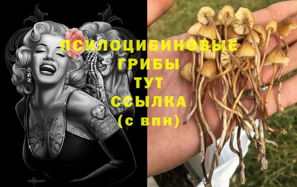 ешки Балабаново