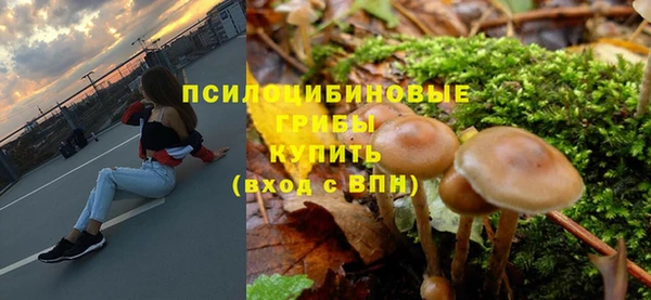 гидра Баксан
