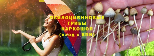 ешки Балабаново