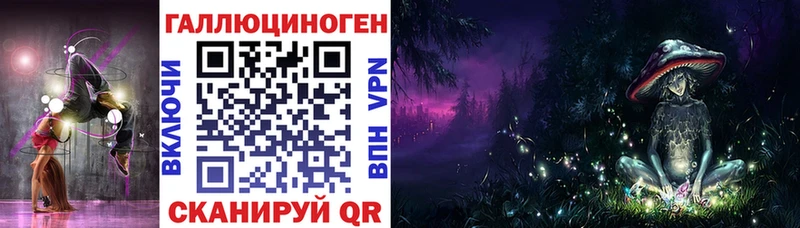 Купить где  Нахабино  Галлюциногенные грибы Psilocybe 